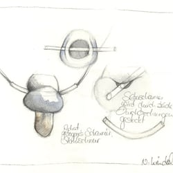 Gestaltungen in Stein auf der Grundlage anatomischer Studien