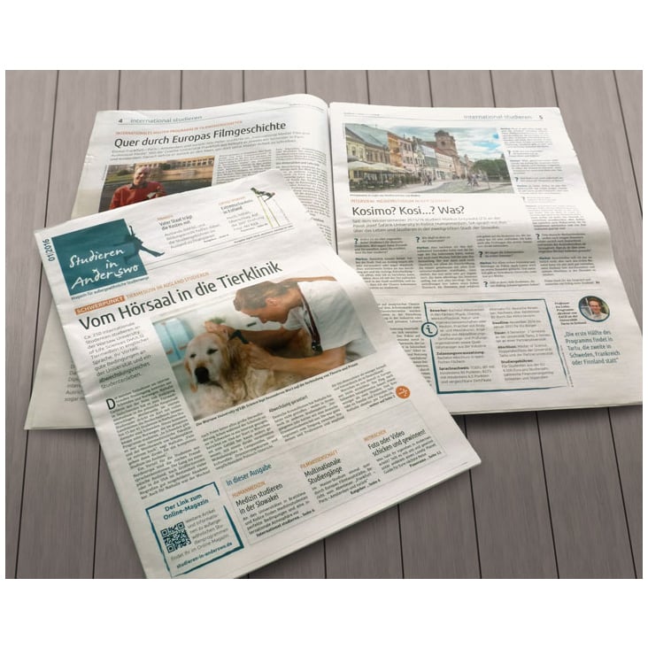 Zeitung “Studieren in Anderswo”,  Designkonzept und Layout
