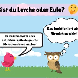 Eule oder Lerche