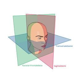 Illustration für eine medizinische Broschüre