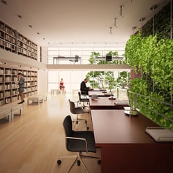 Modern Book Library