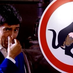 Wissen vor 8, Sendung Tiere