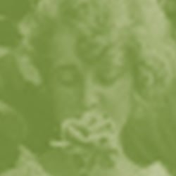 Gartenkultur – Kapitelaufmacher