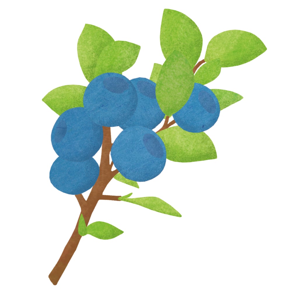 Organicator Illus