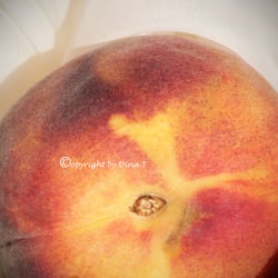 Food 23.08.14