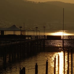 Bodensee Ludwigshafen 117