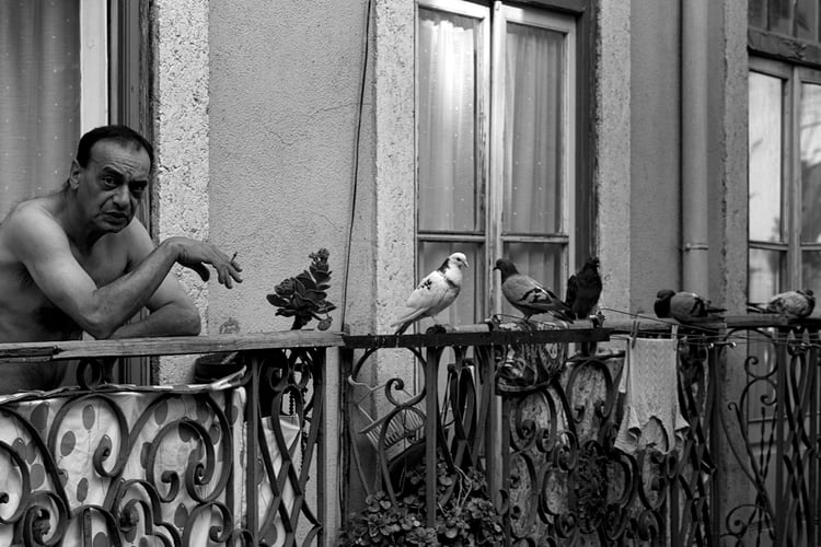 DOVE MAN