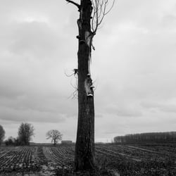 Projekt 16 – Urdenbacher Kämpe