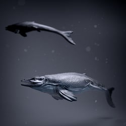 Plioplatecarpus Marshi