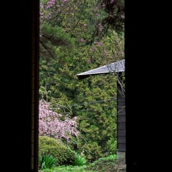 Fotografie – Reise und Reportage Japan