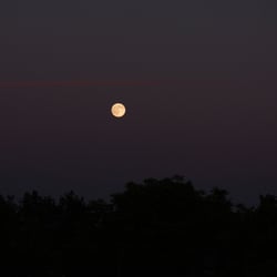 Moon – Jun. 2014 © by Dina.T