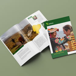 Viventura Katalog Cover