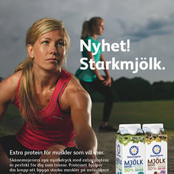 Skånemejerier