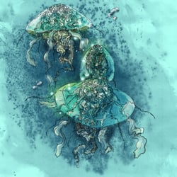Jellys