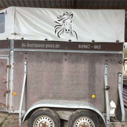 IG-Dartmoorpony-5