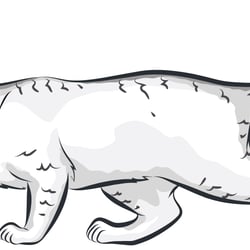 Katzennahrung 3
