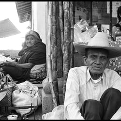 Tapal Markt