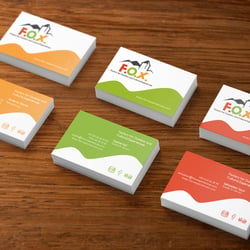 Corporate Design für FOX