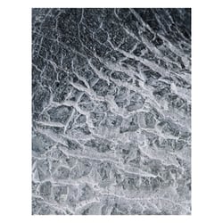 Cell structures