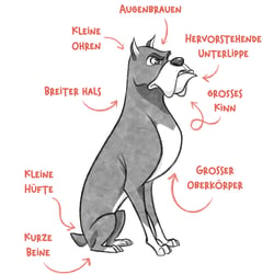 charaktertypen kaempferisch hund 01