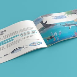 Ozeankind e.V. – Plastikrebell Arbeitsheft – Layout Design und Illustrationen