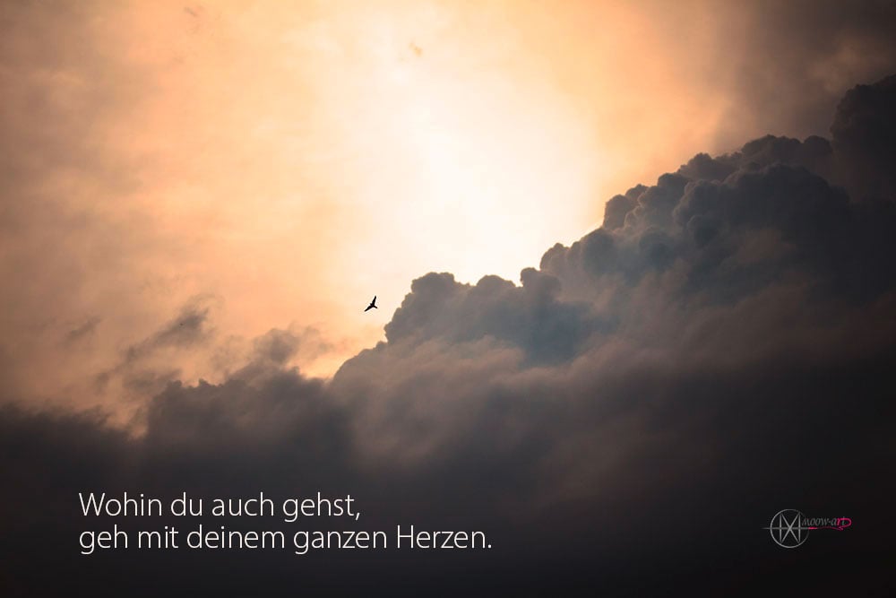 Fotografie_Text