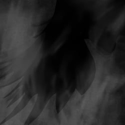 Still from the Video