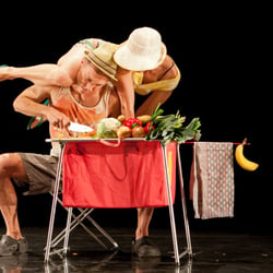 Lienhard Anz, Laura Vogel, Schweiz