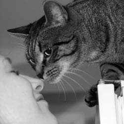 Wahre Liebe…:-)