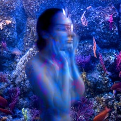 Nereid, 2010