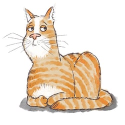 Kater Kurt