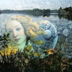 Traum der Venus          Computercomposing