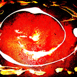 The Fire of Love I – Feuer der Liebe I