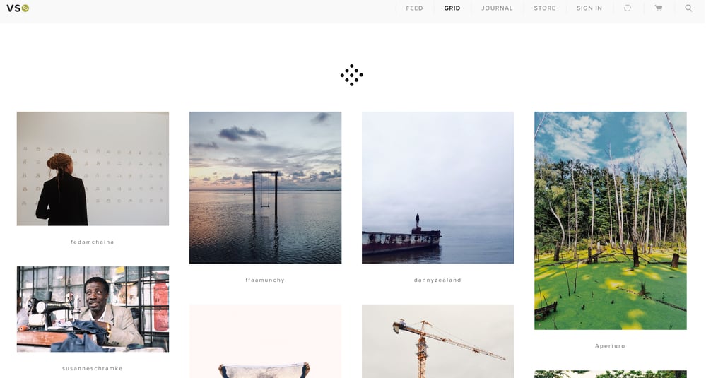 VSCO Grid