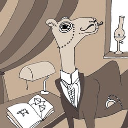 Ein Kamel auf Zeitreise