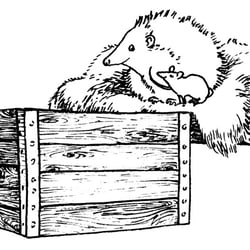 Vignette für „Das Kapitänshaus“ von Gina-Violetta Kunert