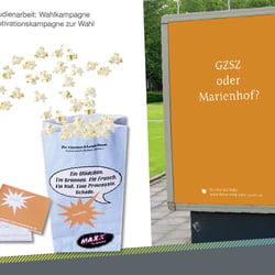 Studienarbeit: Wahlkampagne Motivationskampagne zur Wahl