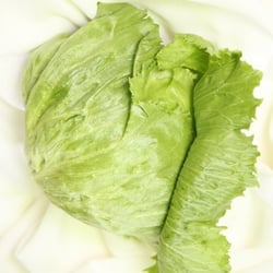 Eisbergsalat Nov. 2012