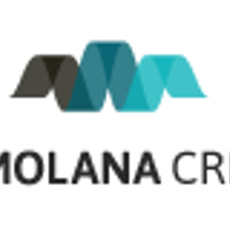 Amir Molana