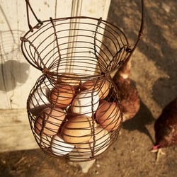 foodfotografie-farm-toscana-lifestyle-leipzig-carolin-reschke-5