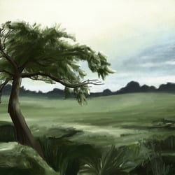 freies feld
