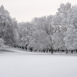 Winter---Impression-XI