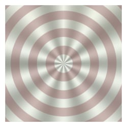 Concenrtric – 17,78 cm