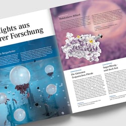entdeckt – Forschungsmagazin