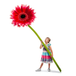 Blumenkind