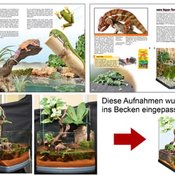 Ratgeber / Broschüre zum Thema Reptilien