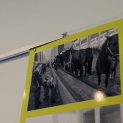Kommunalreferat2019 – 049
