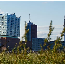 Blick aus dem Grünen