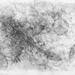 Imprint 2