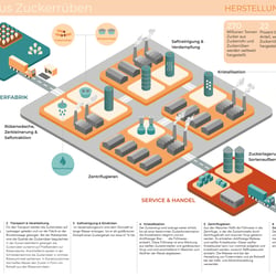 Informationsgrafik Zuckerherstellung Variante